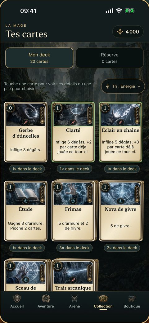 La collection de cartes de la Mage, avec le deck et la réserve : des sorts de givre et des sorts arcaniques.